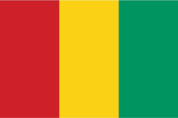 Guinea Flag